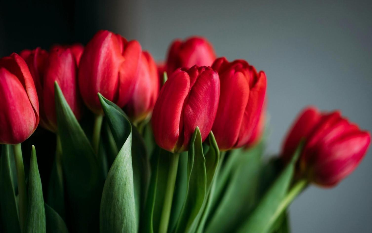 Beautifully decorated celebration venue with ambient lighting