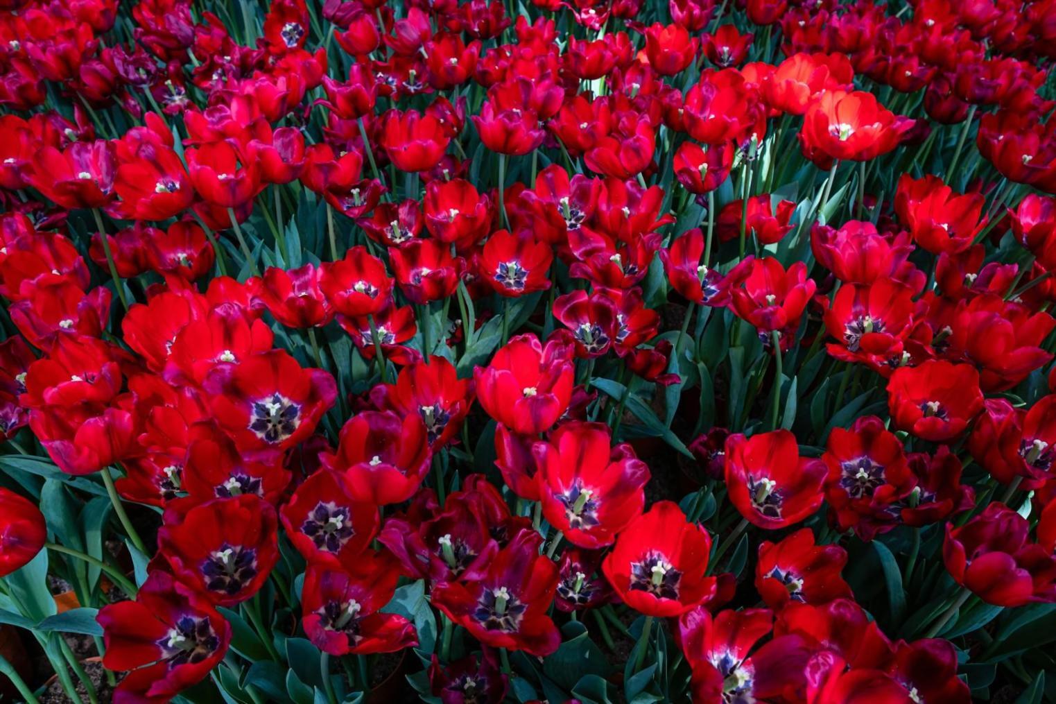 Elegant wedding ceremony setup with floral arrangements and ambient lighting