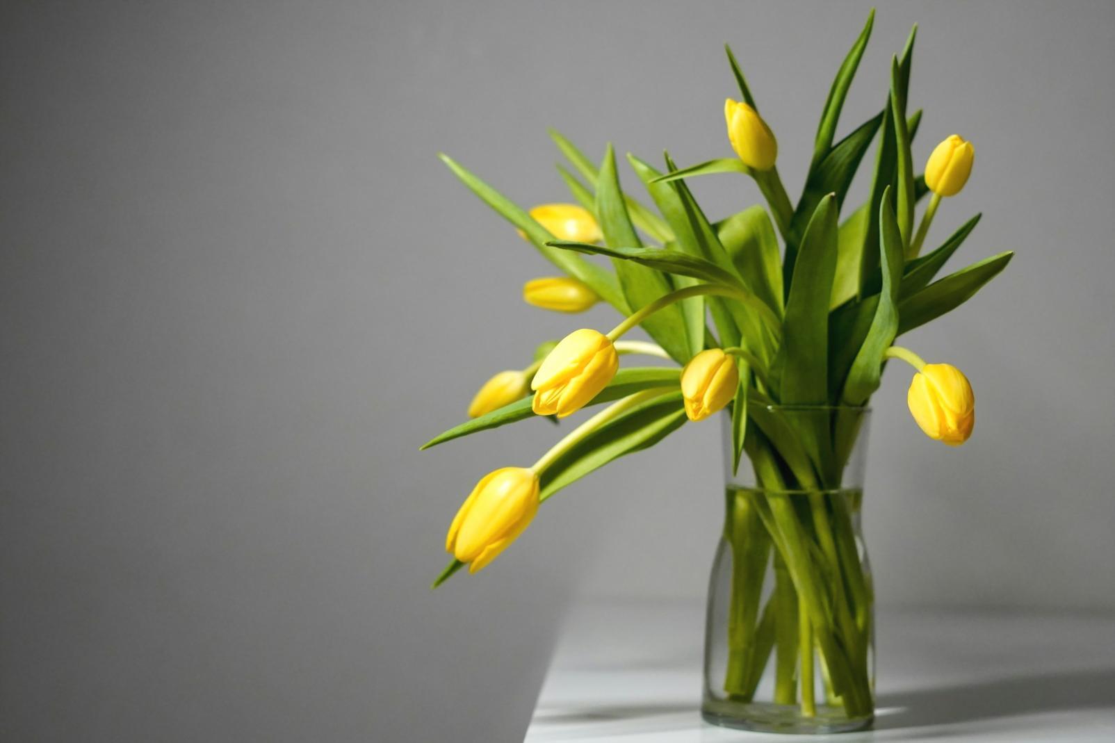 Behind-the-scenes view of wedding decoration team setting up elegant ceremony space