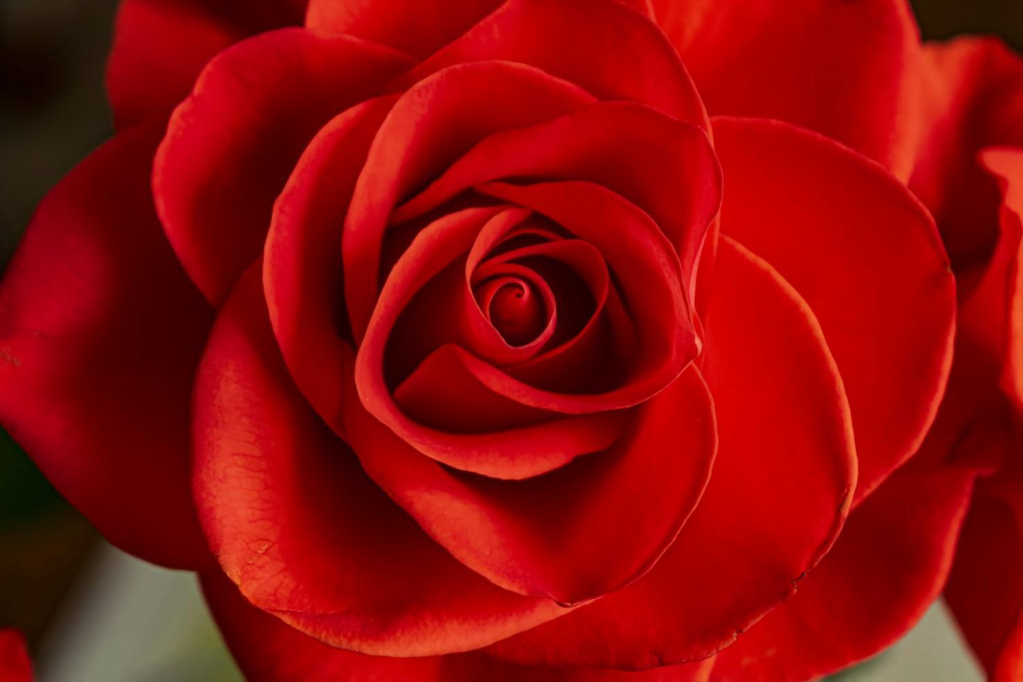 Wedding decoration setup showing elegant floral arrangements and table settings